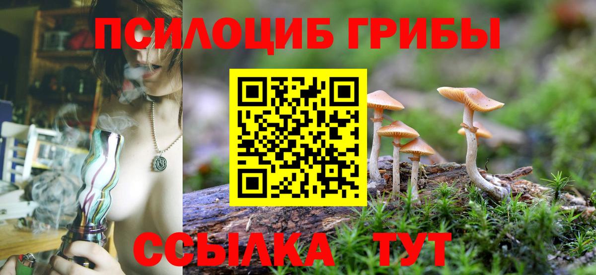 Псилоцибиновые грибы Magic Shrooms Надым