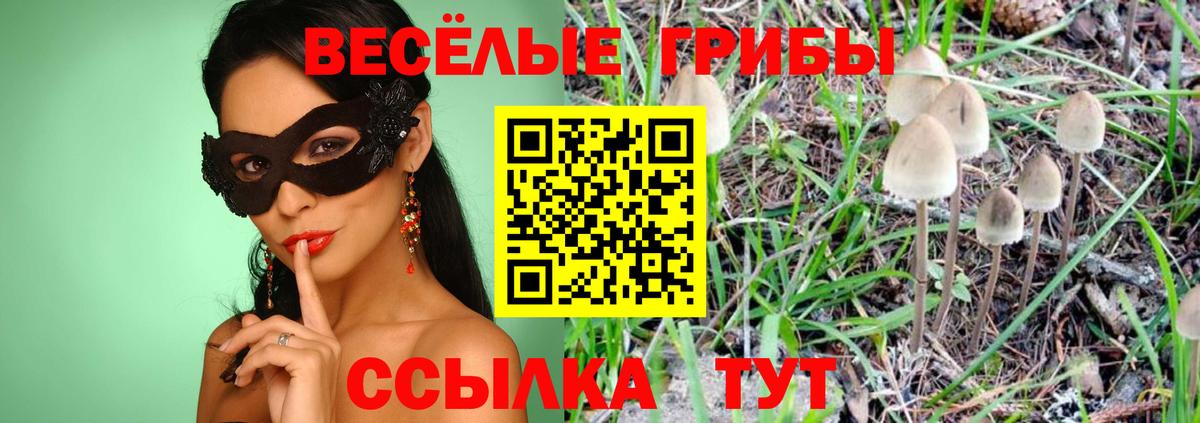 Надым  Псилоцибиновые грибы Cubensis  Вход с VPN 